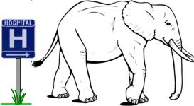 Child Circumcision: An Elephant in the Hospital